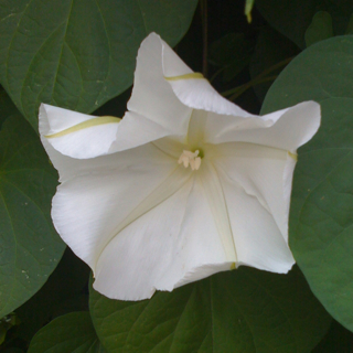 image503994590.jpg